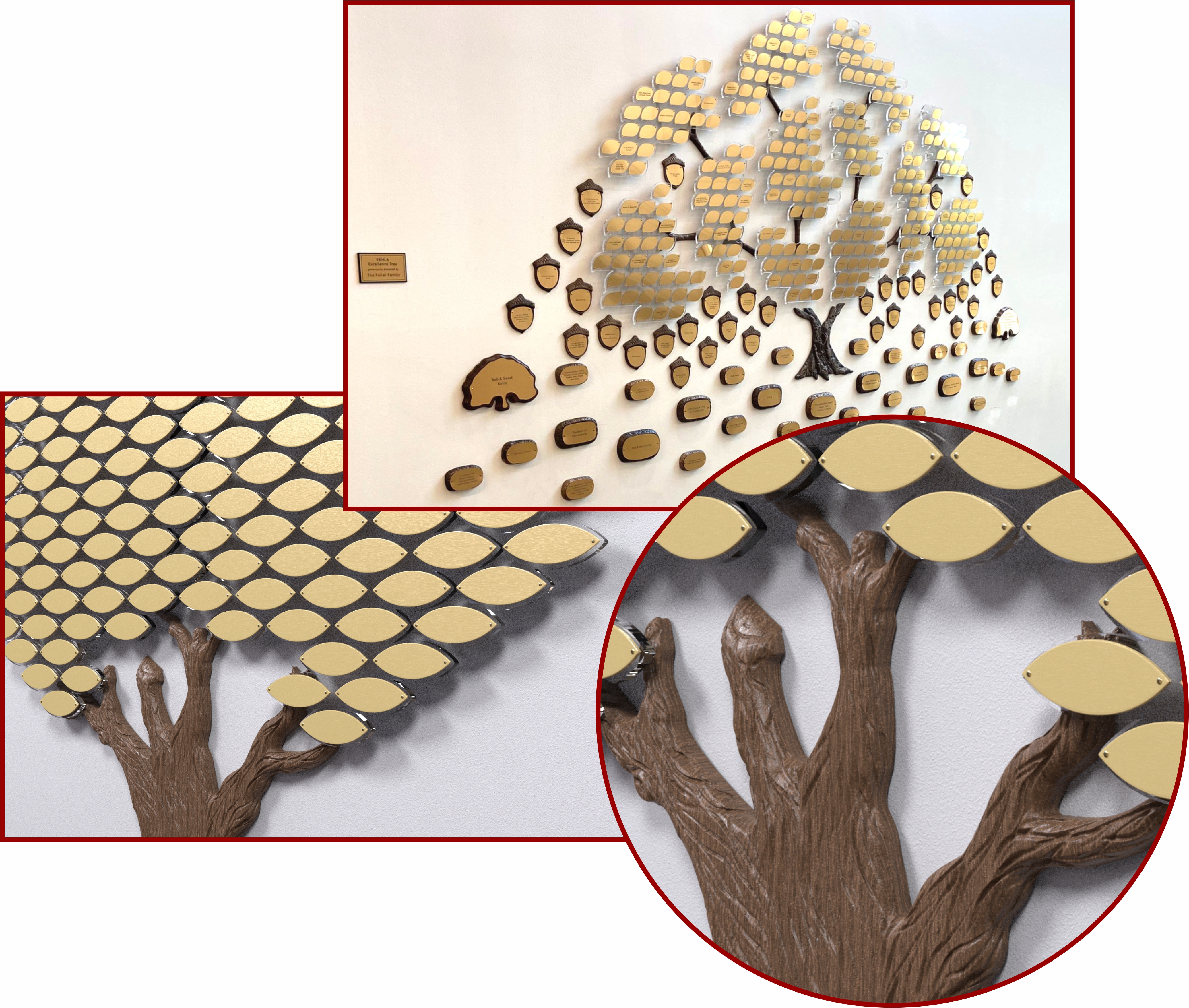 Custom Donor Recognition Tree Display with Engraved Donor Leaves
